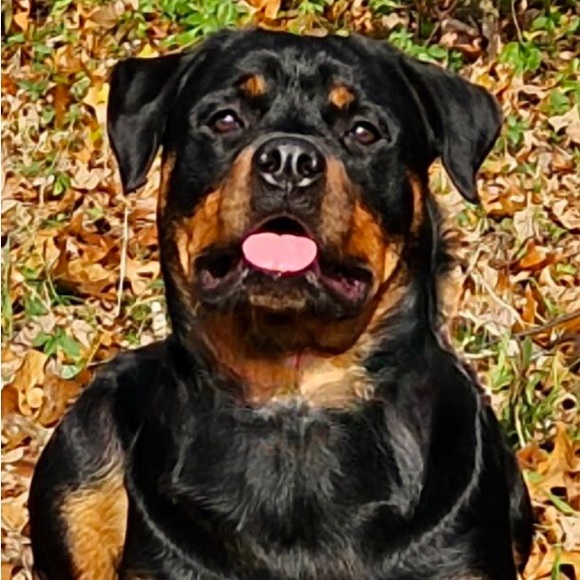 Meet your Posher, Anne - Picture 13 of 15